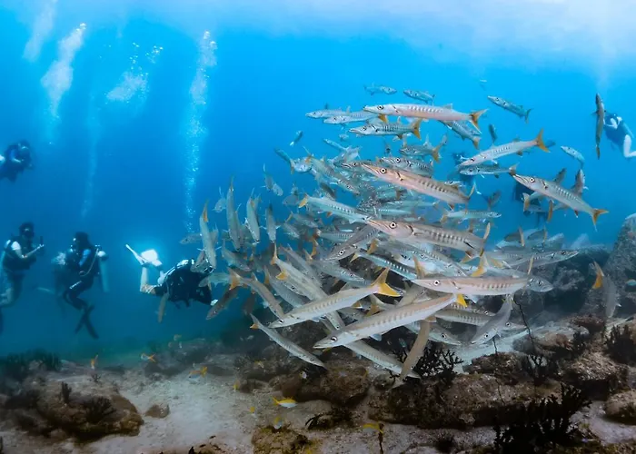 Forra Dive Resort Sunrise